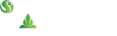 project logo